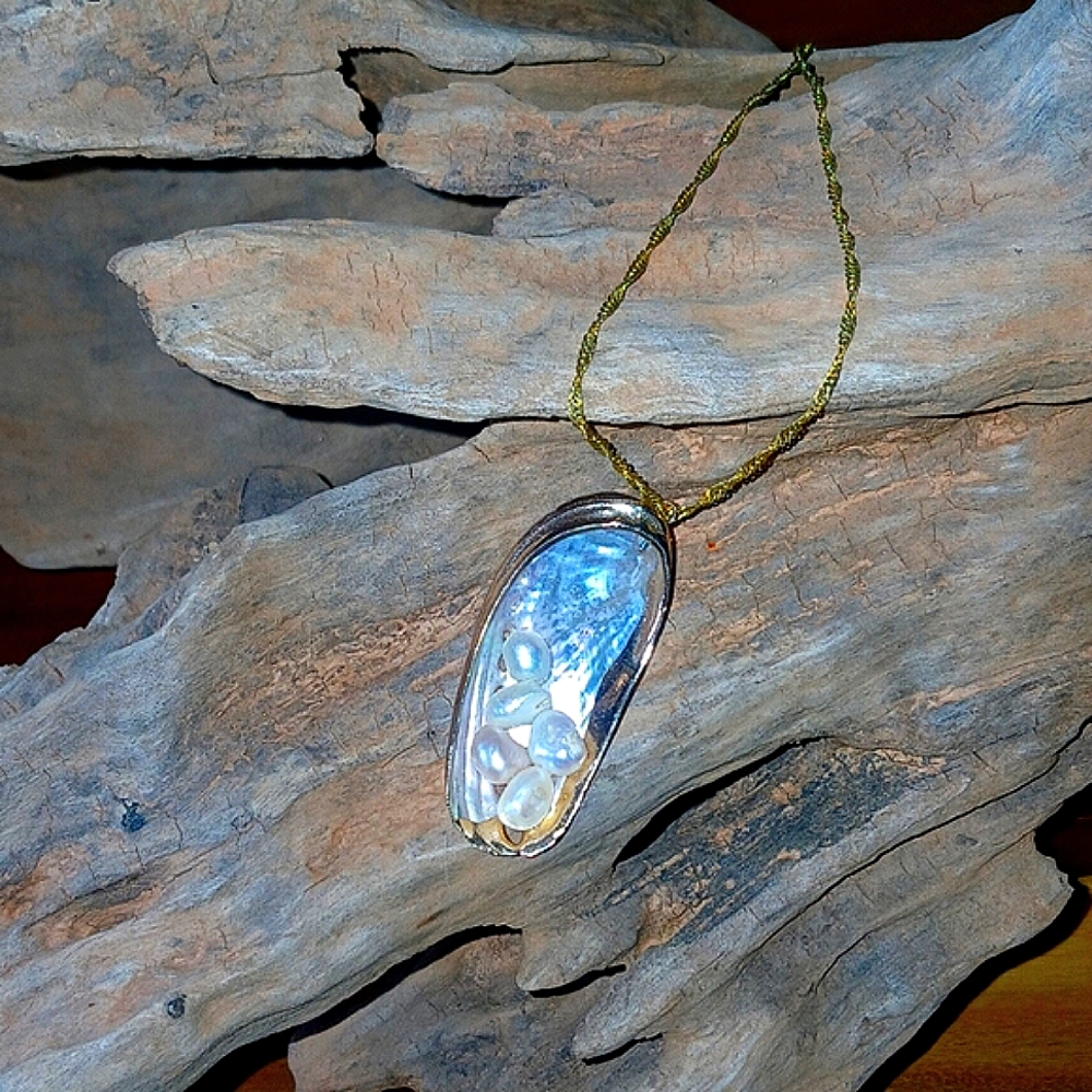 Donkey Ear Abalone Seashell Necklace
